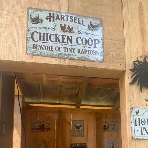 Personalized Chicken Coop Sign Metal Chicken Sign Indoor Outdoor Made in the USA TMS04 photo review