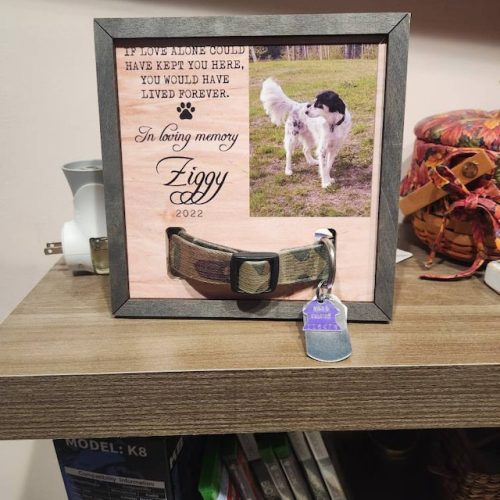 Personalized Dog Memorial Picture Frame With Collar DG01 photo review