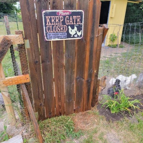 Chicken Coop Sign Metal Chicken Sign Outdoor TMS376 photo review