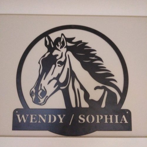 Personalized Horse Metal Sign Indoor Outdoor TMS643 photo review