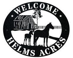 Personalized Horse Metal Sign Indoor Outdoor TMS655