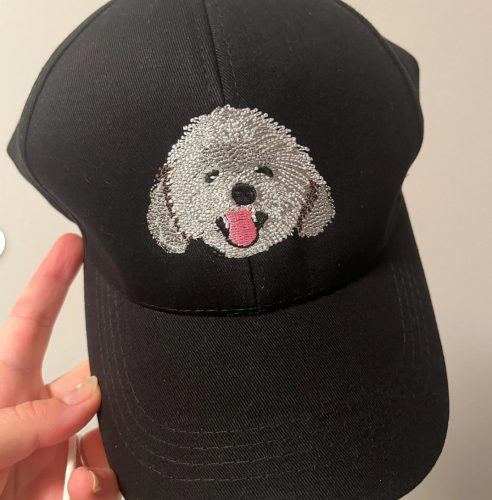 Personalized Custom Embroidered Pet Dog Hat EH02 photo review